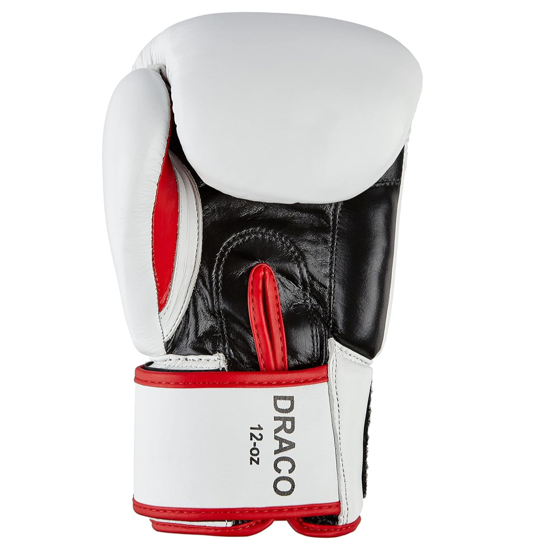 BENLEE boxing gloves DRACO