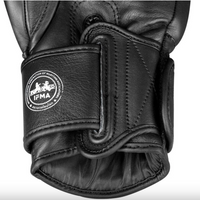 TOP TEN Muay Thai Handschuhe AJARN schwarz