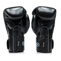 FAIRTEX X BOOSTER Muay Thai Handschuhe BGVB2 schwarz/schwarz