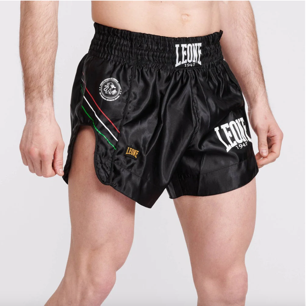 LEONE Muay Thai Shorts AB965 FLAG