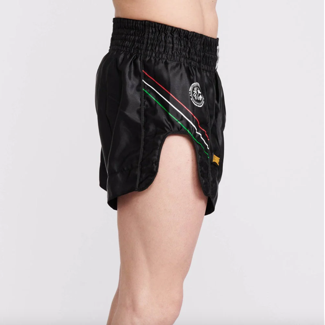 LEONE Muay Thai Shorts AB965 FLAG