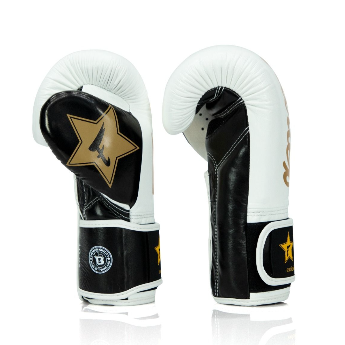 FAIRTEX X BOOSTER Muay Thai Handschuhe BGVB2 schwarz/weiß/gold