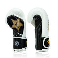 FAIRTEX X BOOSTER Muay Thai Handschuhe BGVB2 schwarz/weiß/gold