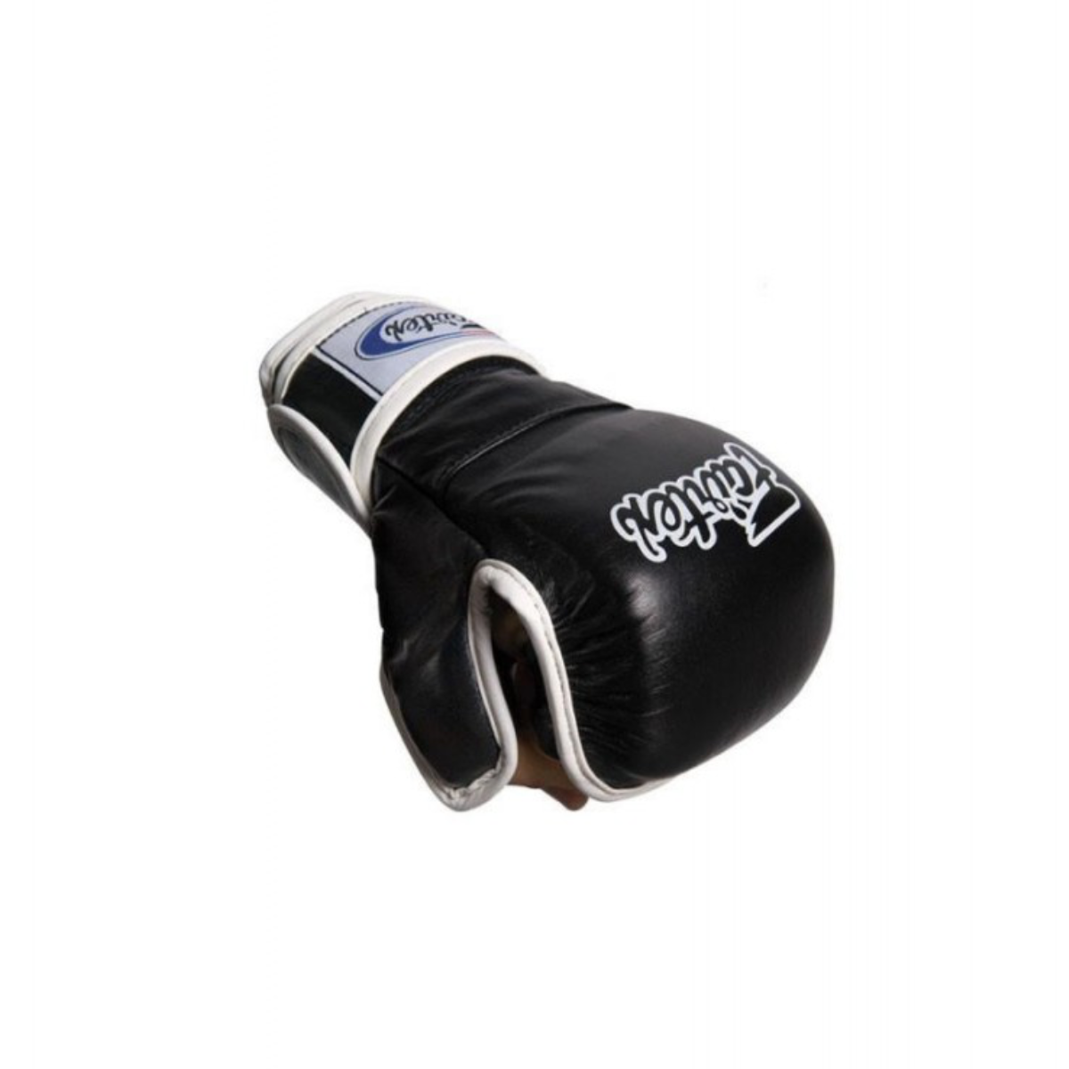 FAIRTEX MMA Handschuhe FGV 15 schwarz